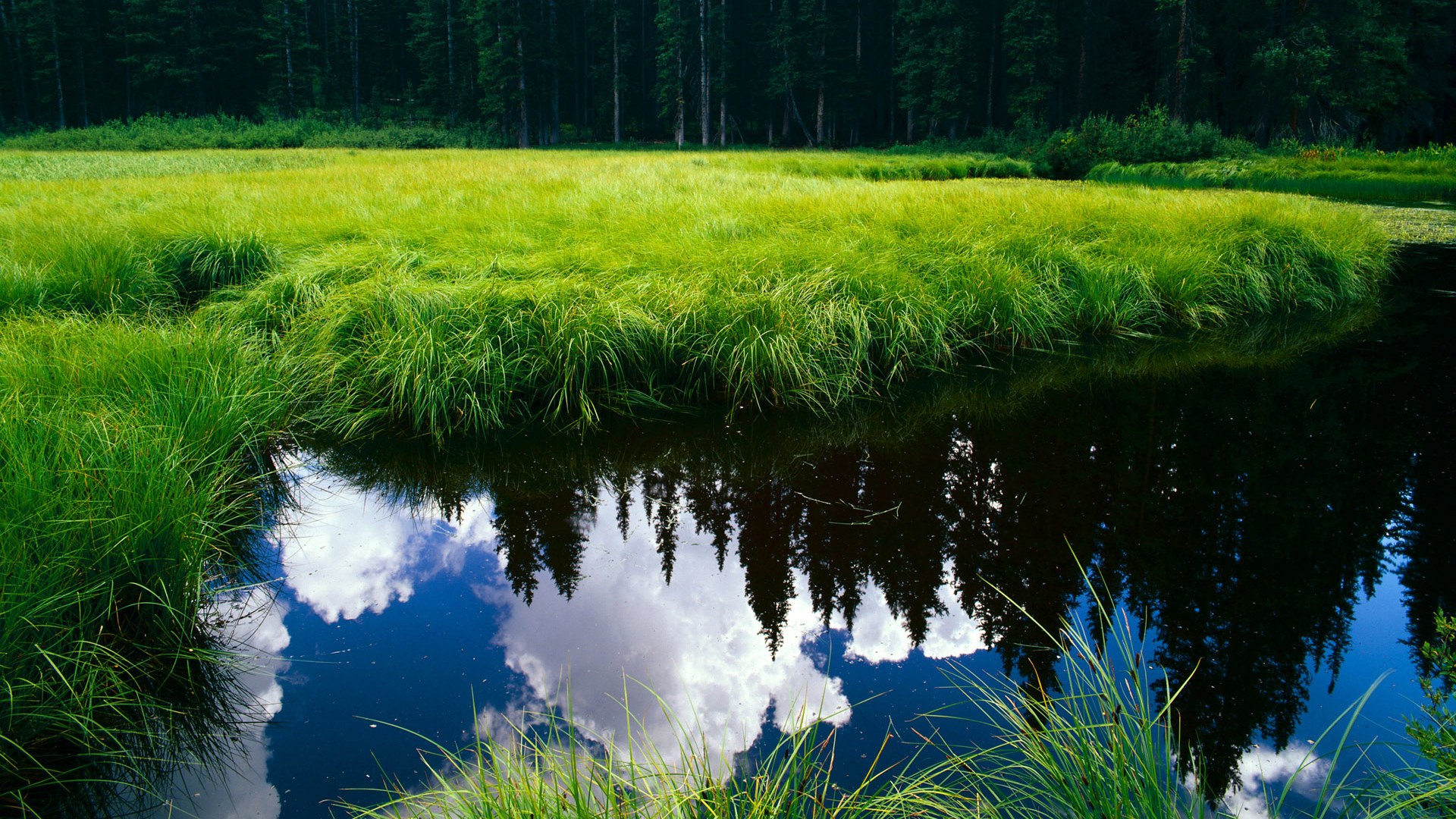 开云·体育官网-中超联赛平局世界杯预选赛 技术分析引热议，世界杯预选赛中国队平局